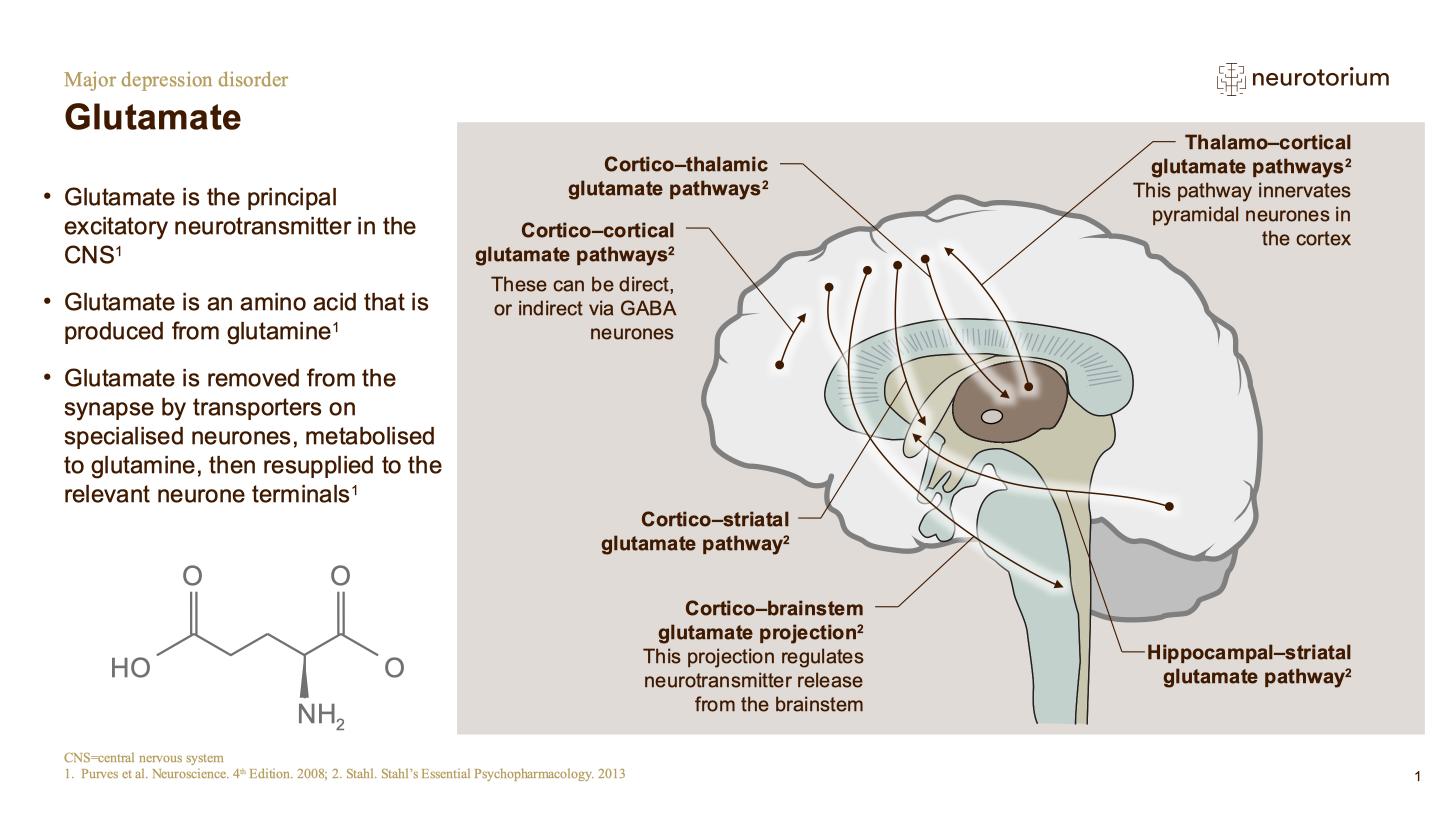 Major Depressive Disorder – Neurobiology and Aetiology – slide 17